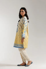 Ethnic 3 Piece Printed Suit - 203/629