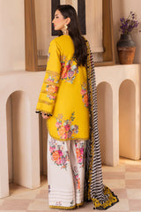 3-PC Unstitched Printed Lawn Collection CH6-12
