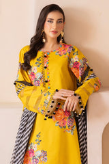 3-PC Unstitched Printed Lawn Collection CH6-12