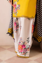 3-PC Unstitched Printed Lawn Collection CH6-12